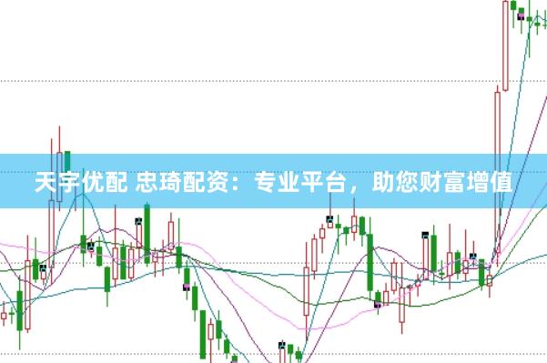 天宇优配 忠琦配资：专业平台，助您财富增值