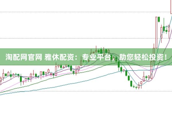 淘配网官网 雅休配资：专业平台，助您轻松投资！