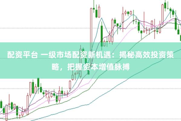 配资平台 一级市场配资新机遇：揭秘高效投资策略，把握资本增值脉搏