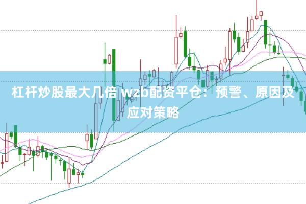 杠杆炒股最大几倍 wzb配资平仓：预警、原因及应对策略