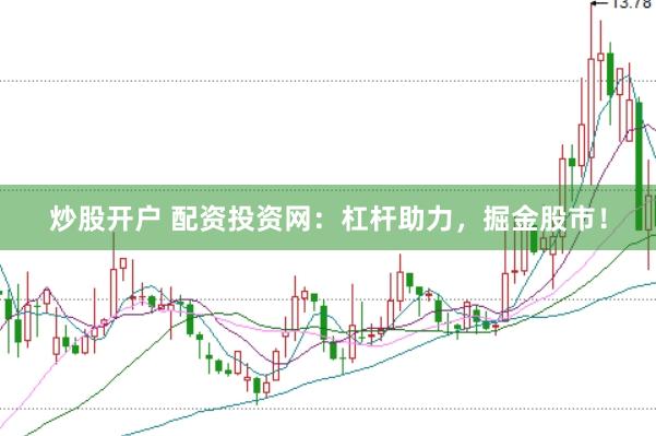 炒股开户 配资投资网：杠杆助力，掘金股市！