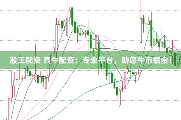 股王配资 真牛配资：专业平台，助您牛市掘金！
