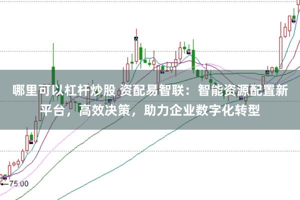 哪里可以杠杆炒股 资配易智联：智能资源配置新平台，高效决策，助力企业数字化转型