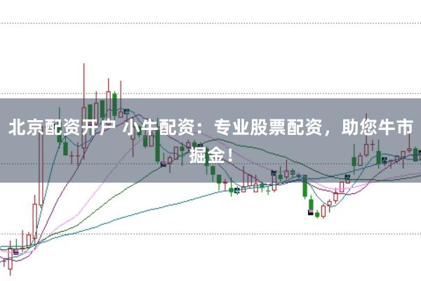 北京配资开户 小牛配资：专业股票配资，助您牛市掘金！