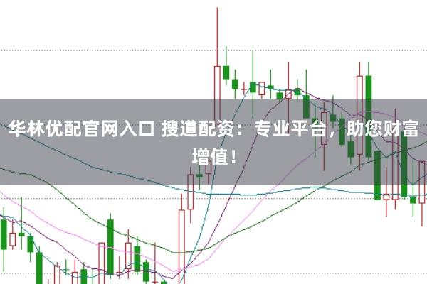 华林优配官网入口 搜道配资：专业平台，助您财富增值！