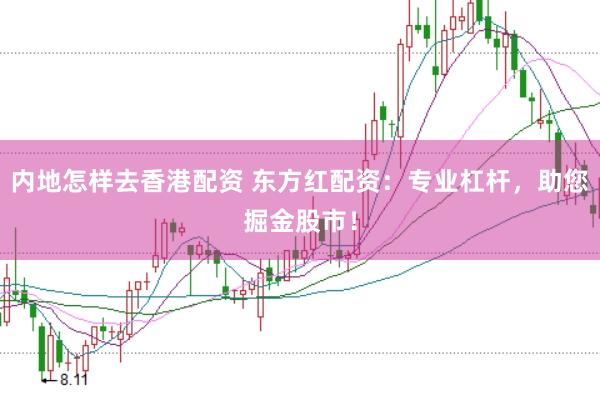 内地怎样去香港配资 东方红配资：专业杠杆，助您掘金股市！