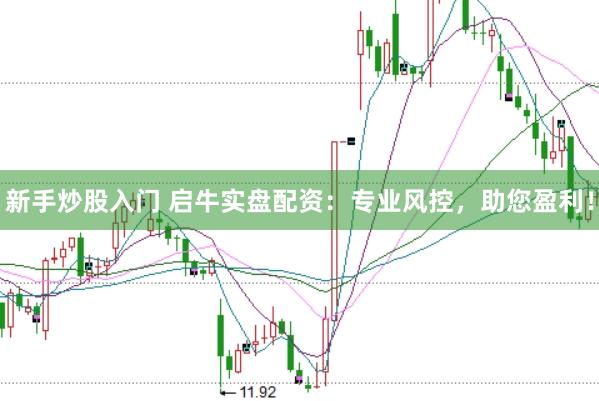 新手炒股入门 启牛实盘配资：专业风控，助您盈利！