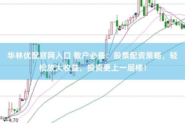 华林优配官网入口 散户必备：股票配资策略，轻松放大收益，投资更上一层楼！