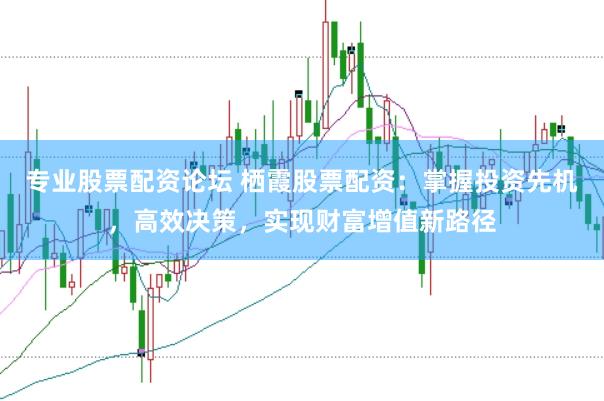 专业股票配资论坛 栖霞股票配资：掌握投资先机，高效决策，实现财富增值新路径