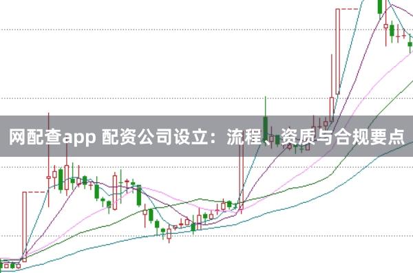 网配查app 配资公司设立:流程、资质与合规要点