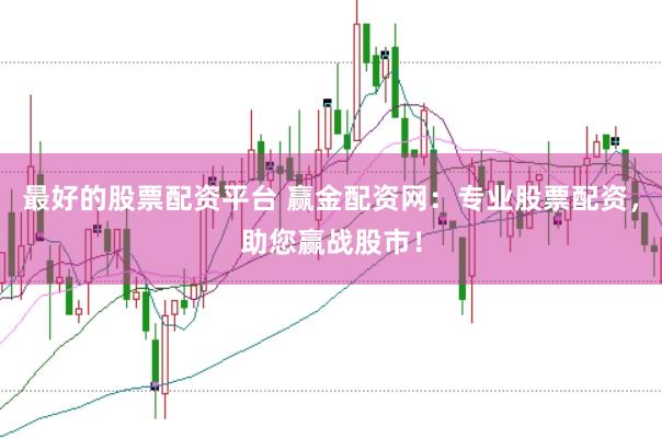 最好的股票配资平台 赢金配资网:专业股票配资,助您赢战股市!