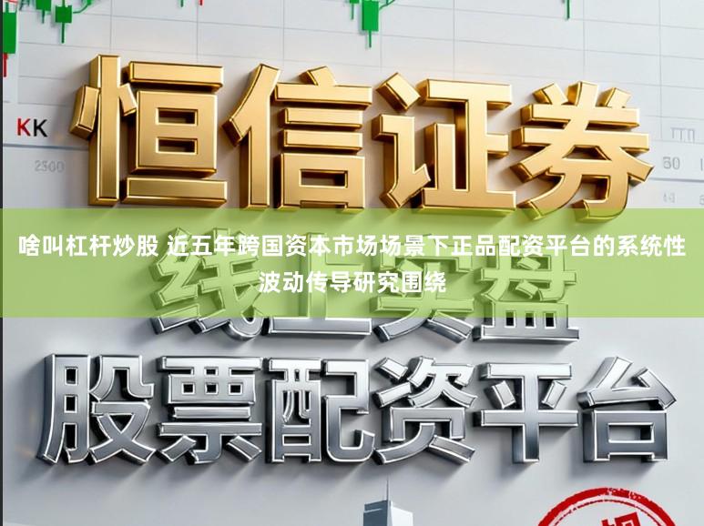 啥叫杠杆炒股 近五年跨国资本市场场景下正品配资平台的系统性波动传导研究围绕