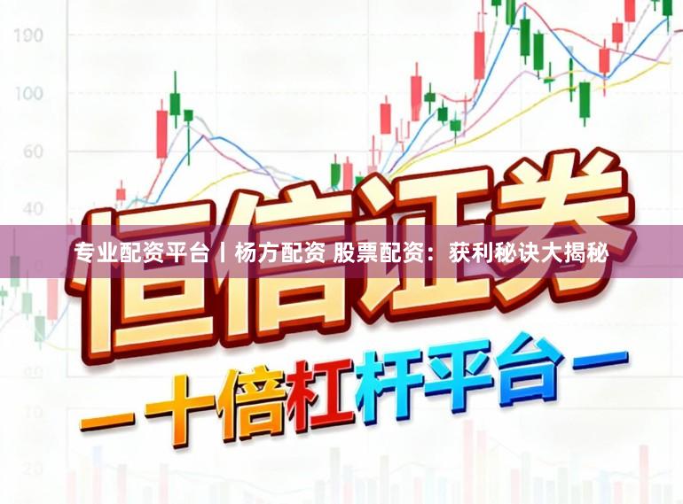 专业配资平台丨杨方配资 股票配资：获利秘诀大揭秘